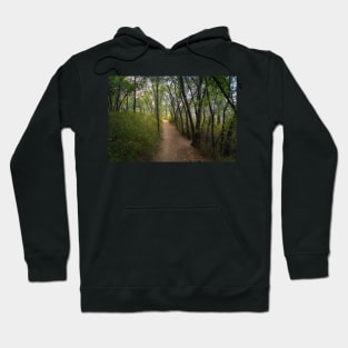 Trail Through the Woods at Sunset Hoodie